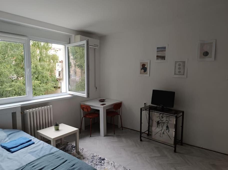Cozy In Vracar Apartment